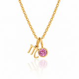 Zodiac Birthstone Charm Necklace