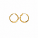 Aros de Oro Diarios