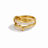 Cuatro Anillos entrelazados
