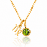 Zodiac Birthstone Charm Necklace